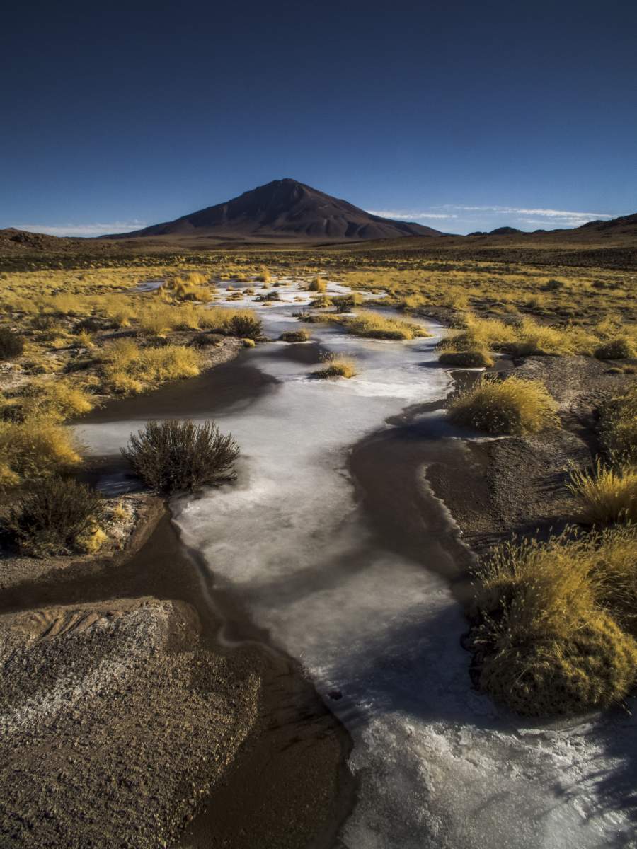 photos de la puna argentine