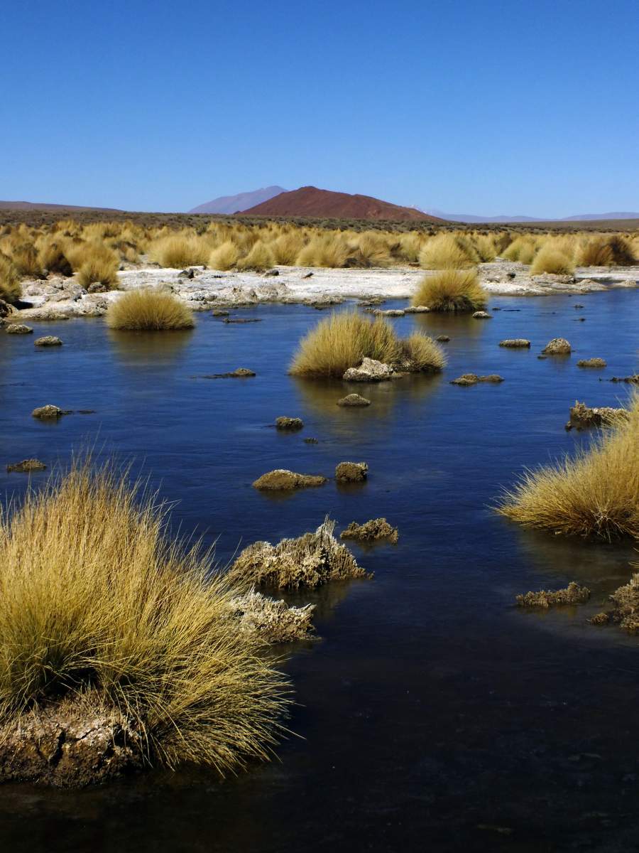 photos de la puna argentine
