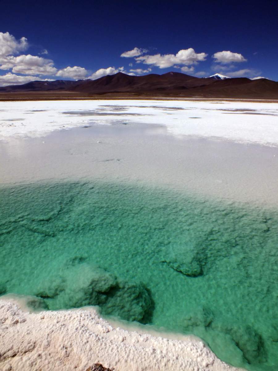 photos de la puna argentine