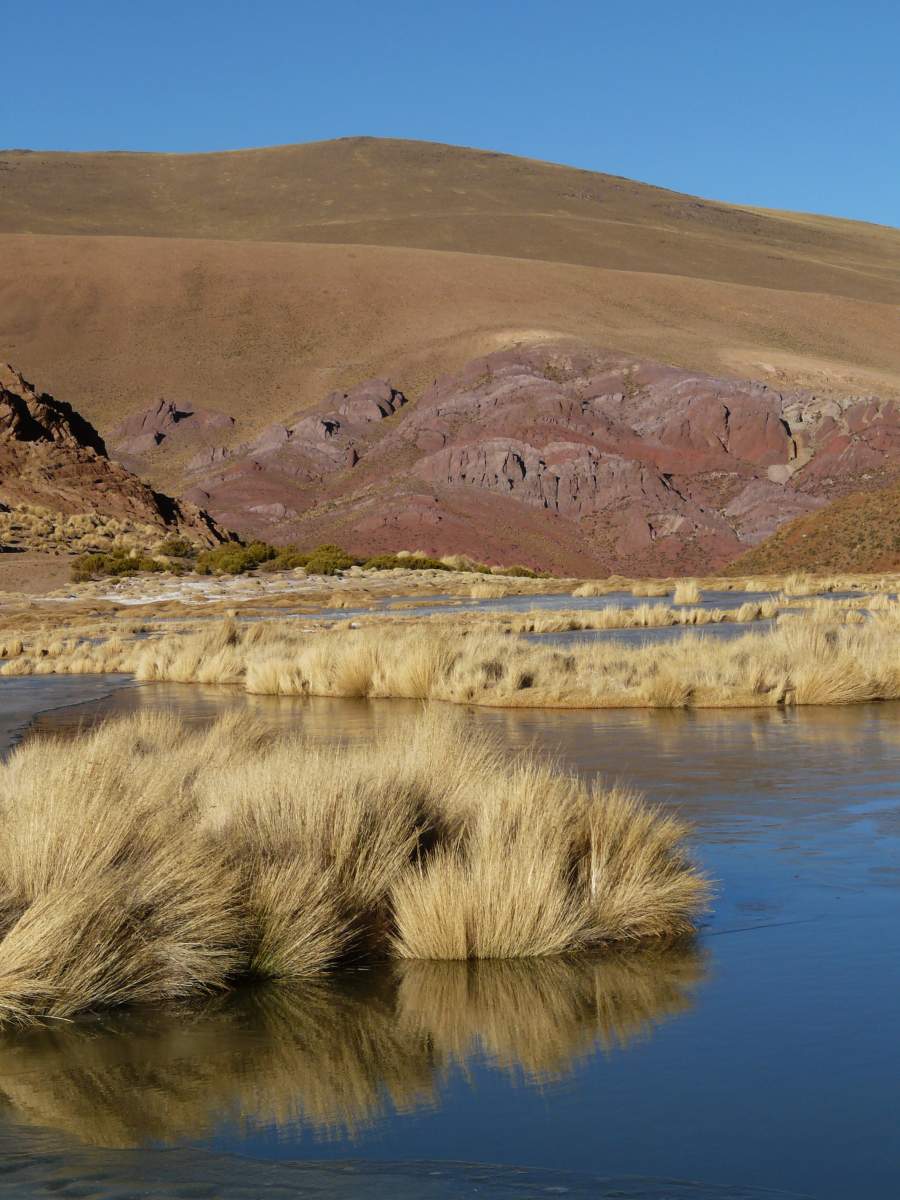 photos de la puna argentine