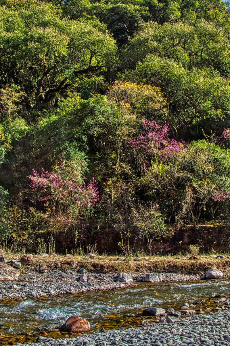 photos de la quebrada de escoipe