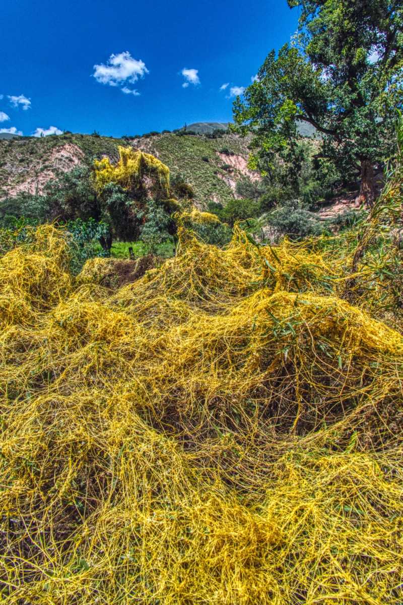photos de la quebrada de escoipe
