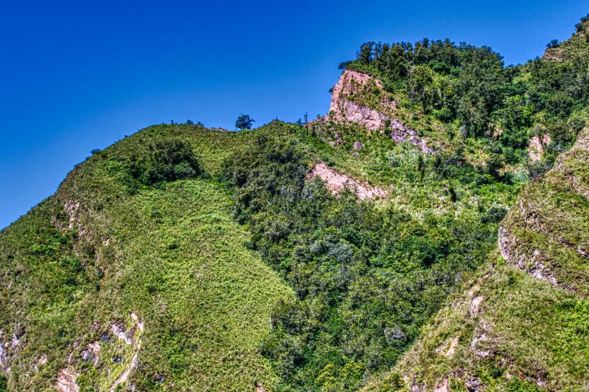 photos des yungas, forêt d'argentine