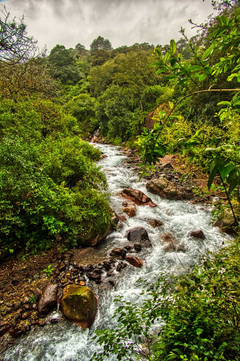 photos des yungas, forêt d'argentine