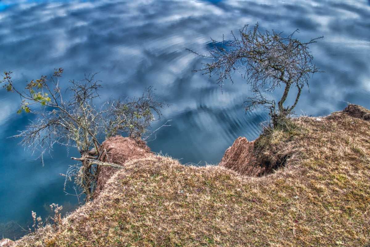 photos des yungas, forêt d'argentine