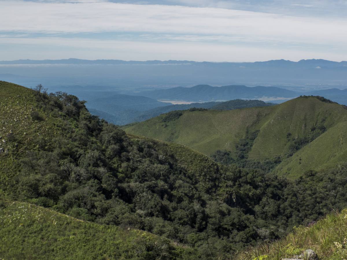 photos des yungas, forêt d'argentine