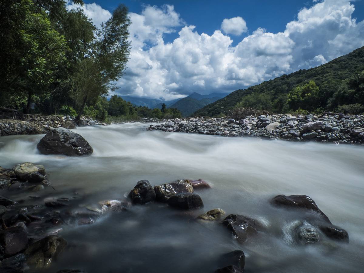photos des yungas, forêt d'argentine