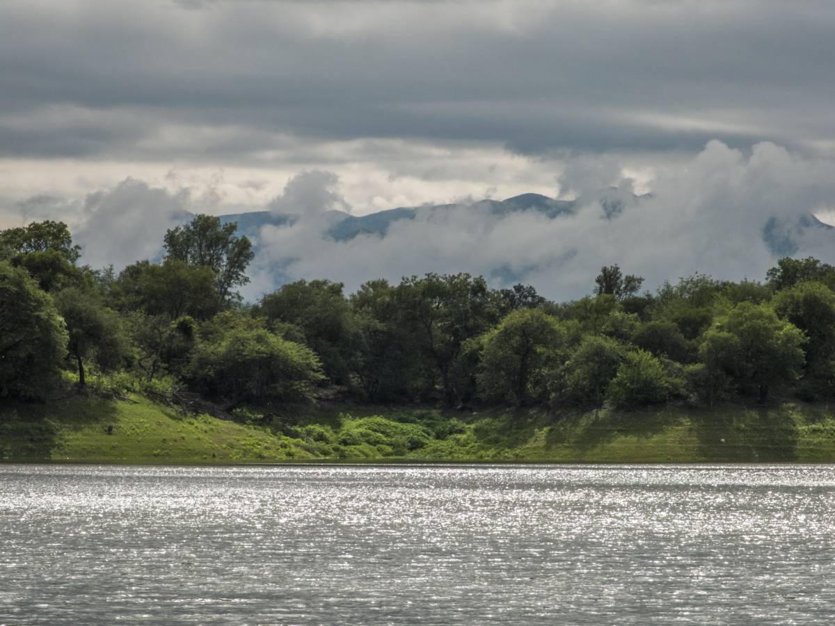 photos des yungas, forêt d'argentine