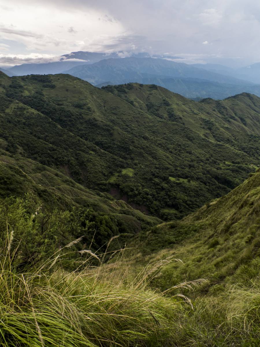 photos des yungas, forêt d'argentine