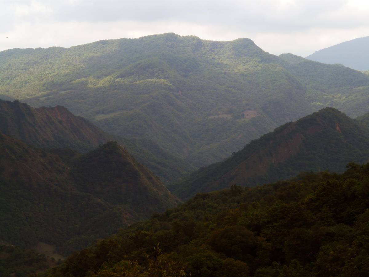 photos des yungas, forêt d'argentine