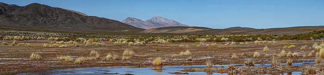 Circuit 5 jours : Vue sur le Chani depuis Laguna Colorada